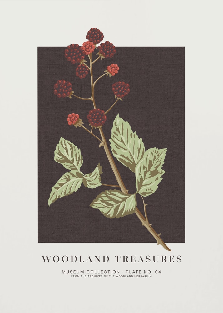 Woodland Blackberries Botanical Poster
