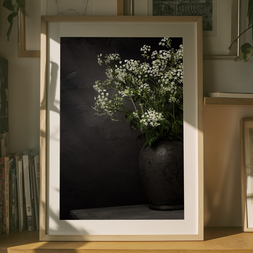 Hvid Vildblomst Stilleben Plakat