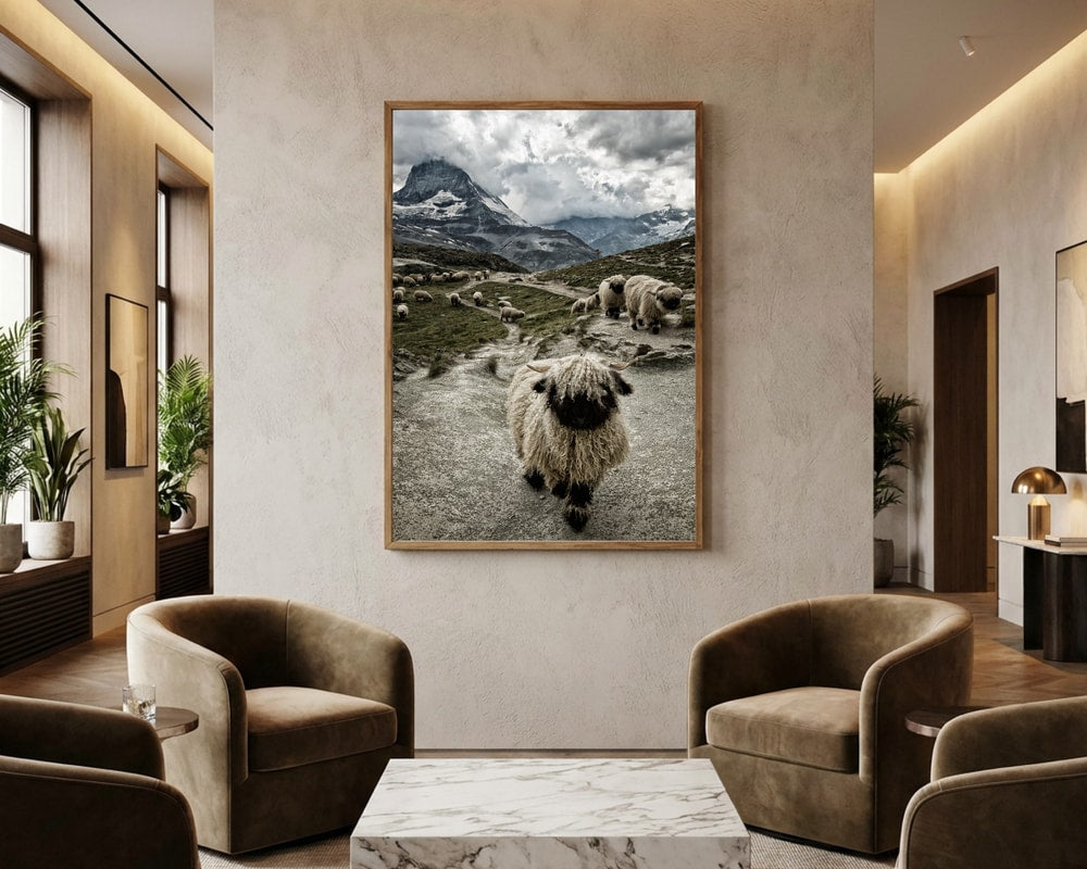 Valais Blacknose Matterhorn bjergplakat