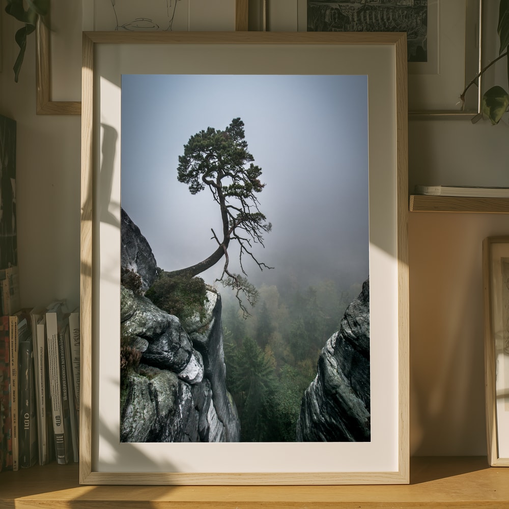 Misty Mountain Pine Plakat