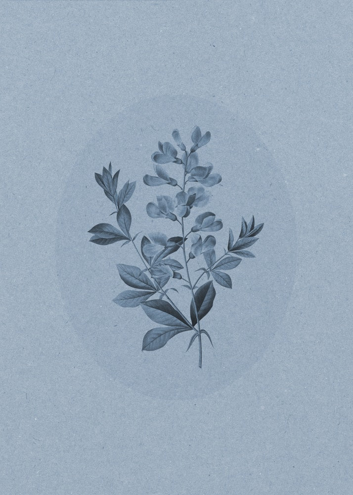 Serene Blue Botanical Poster