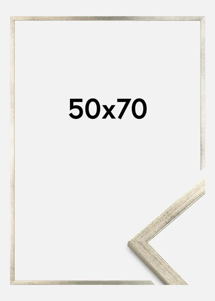 Silver Frame