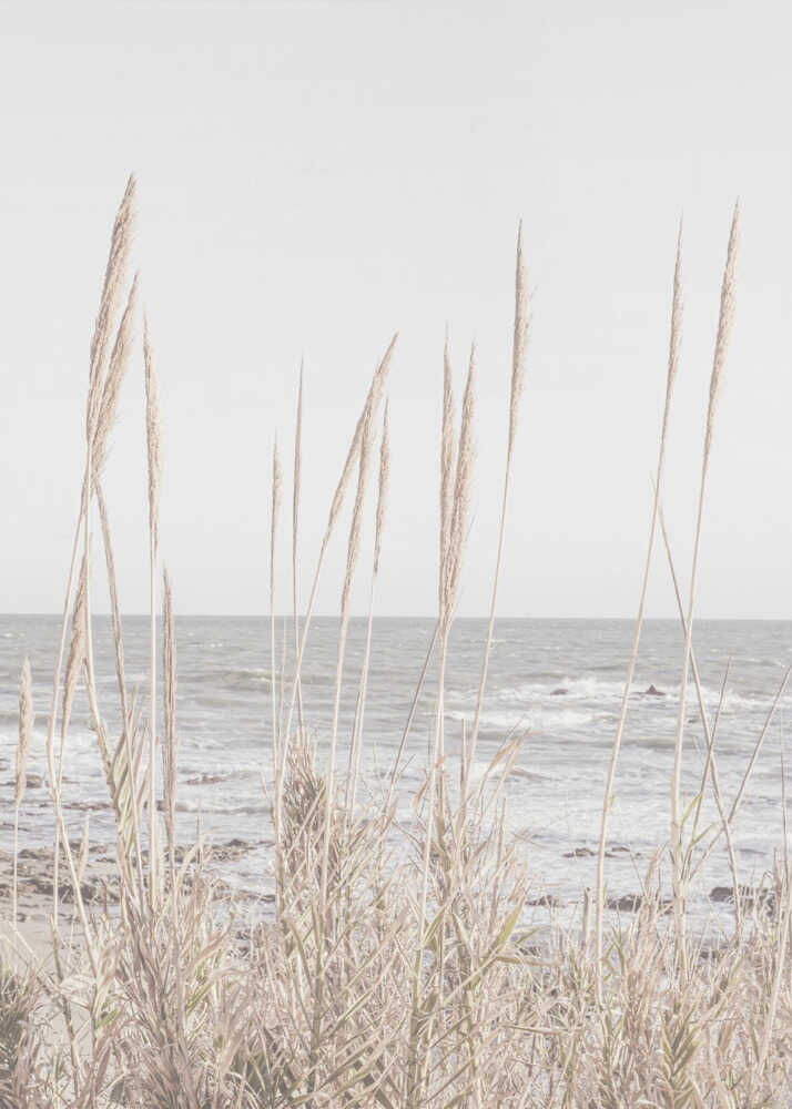 Beach grass ocean poster with beach grass in the foreground and the ocean in the background