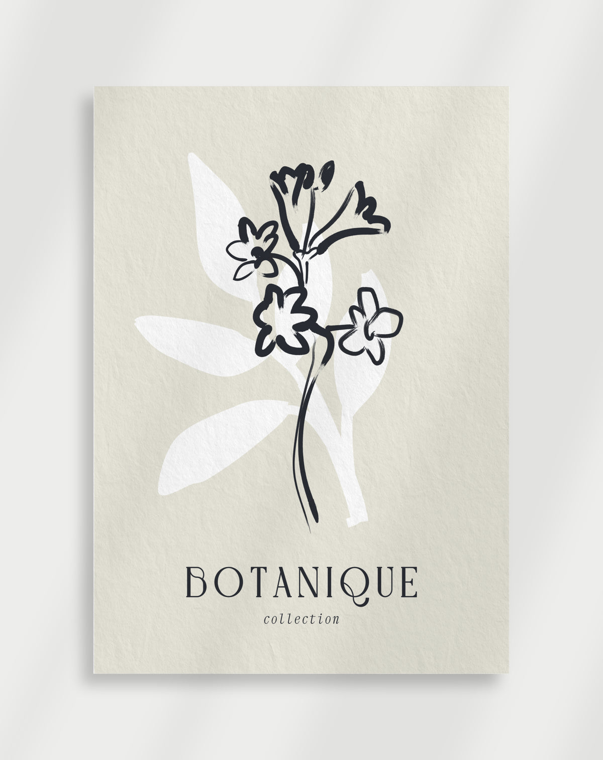 Botanique flowers line art poster with a minimalist black line drawing of flowers and leaves labeled Botanique collection
