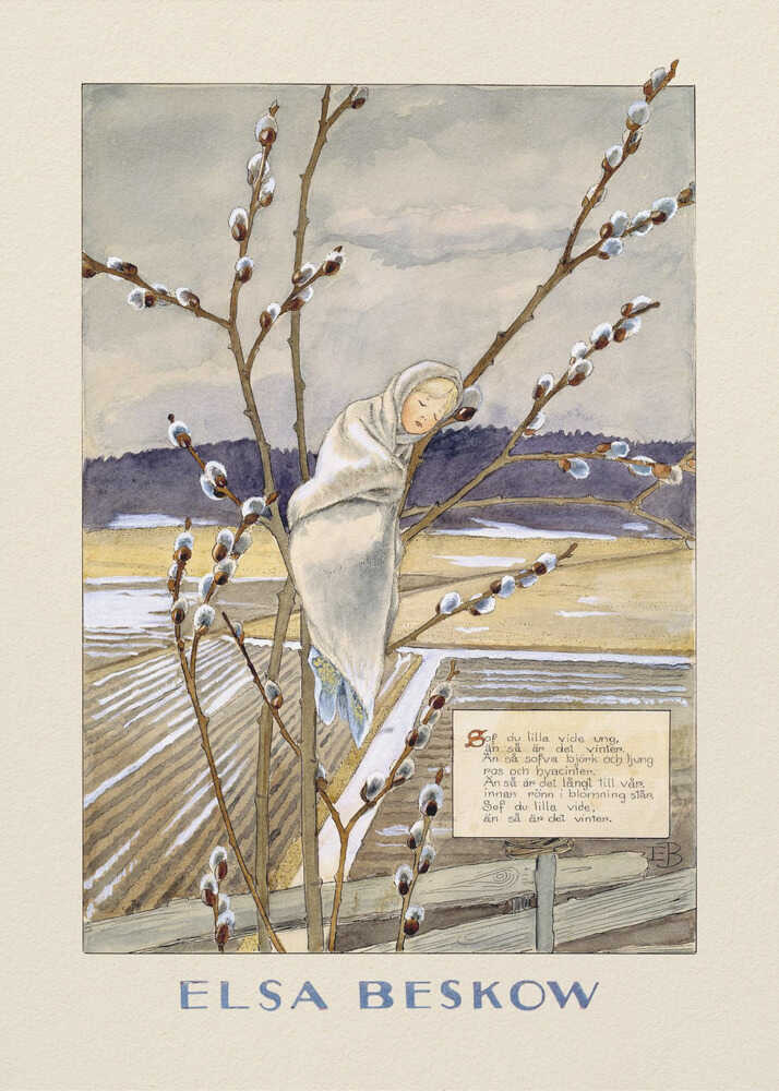 Elsa Beskow poster with a child sleeping in a pussy willow tree