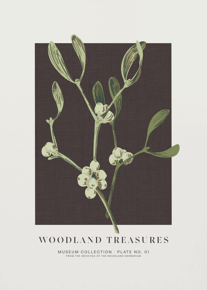 Woodland Mistletoe Study Poster