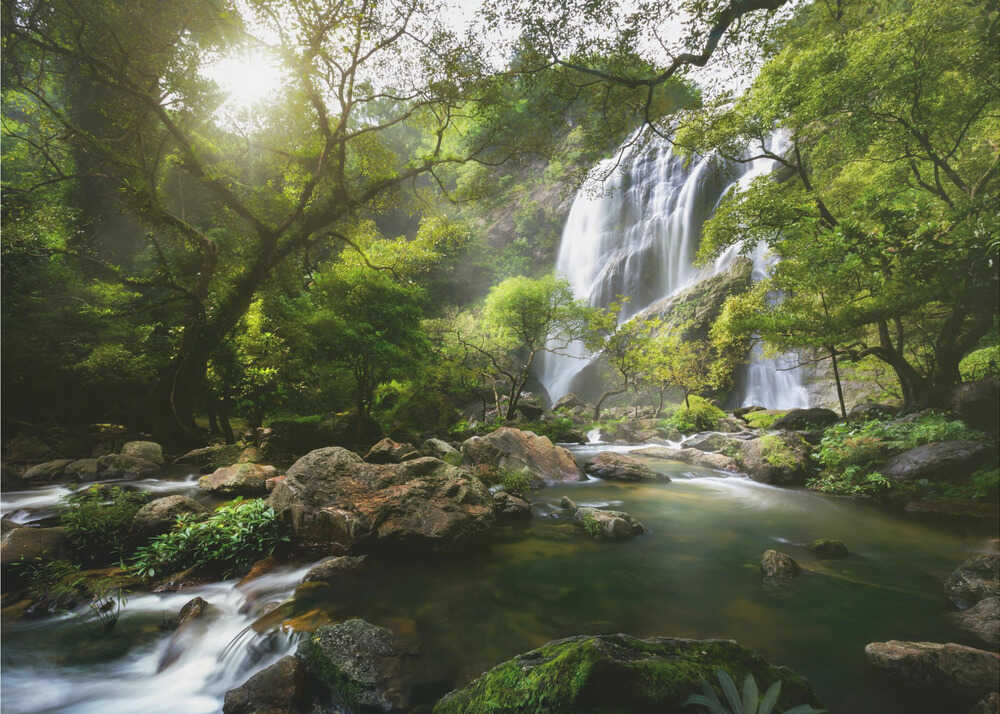 Forest waterfall poster with a waterfall cascading through dense green forest and rocky stream
