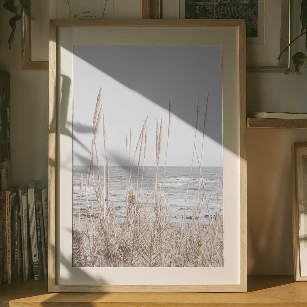 Beach_Vass_001 Plakat