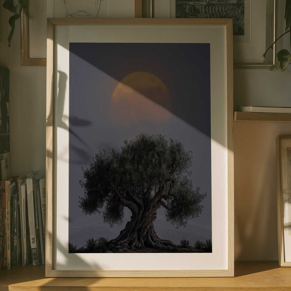Antik Oliventræ Måne Plakat