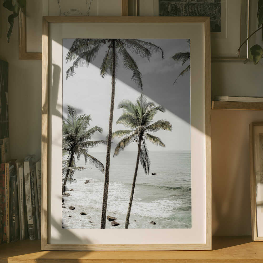 Serene Palm Coast-plakat
