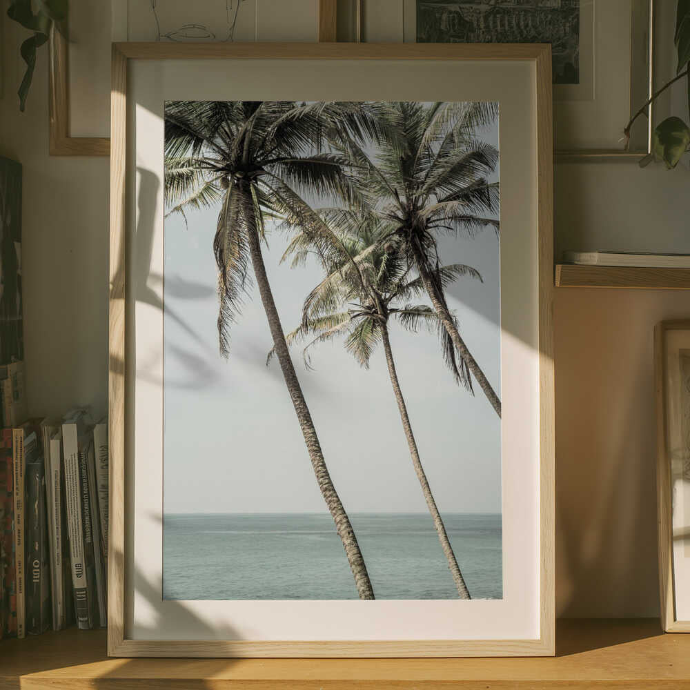 Ocean Breeze Palms Plakat
