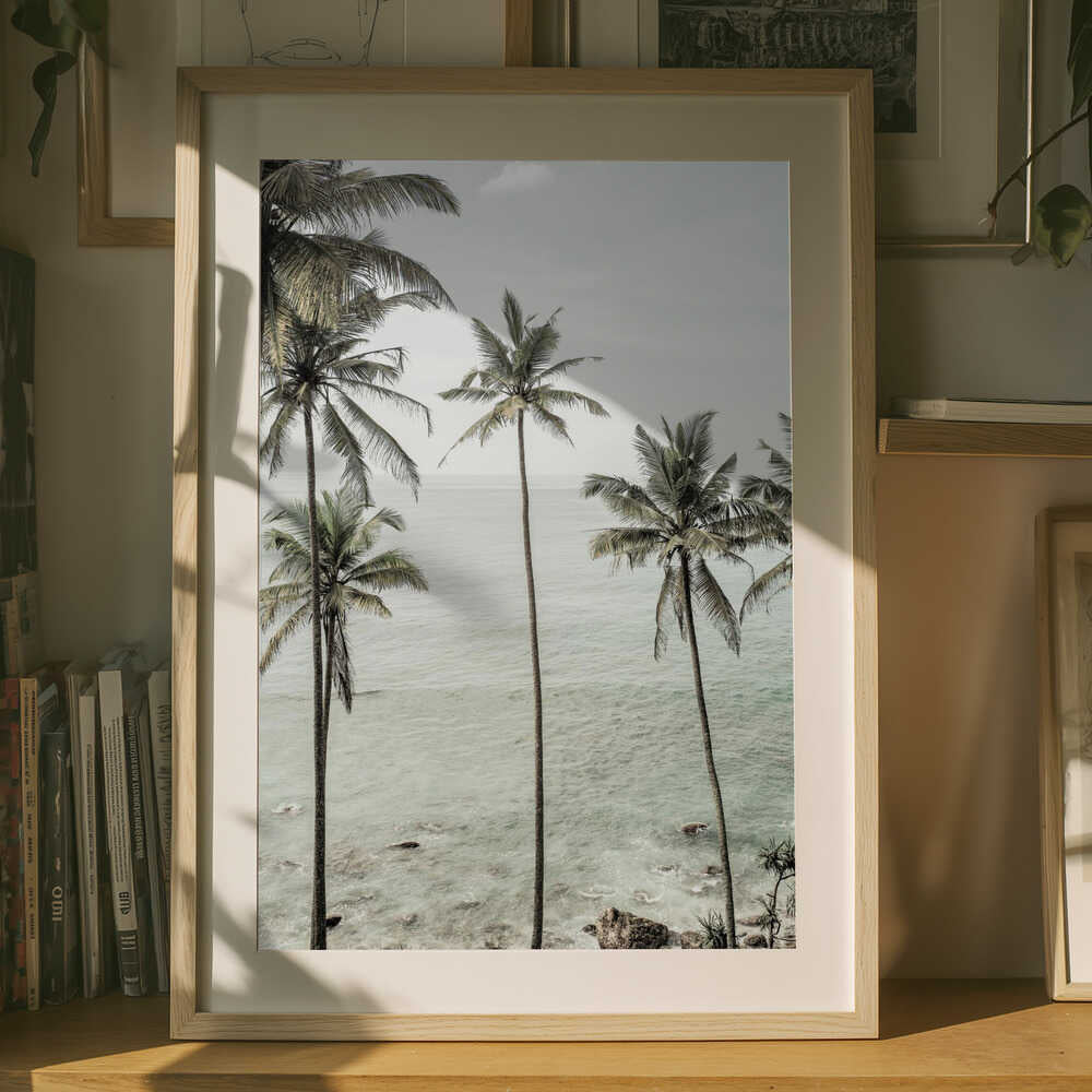 Tropical Dreams-plakat