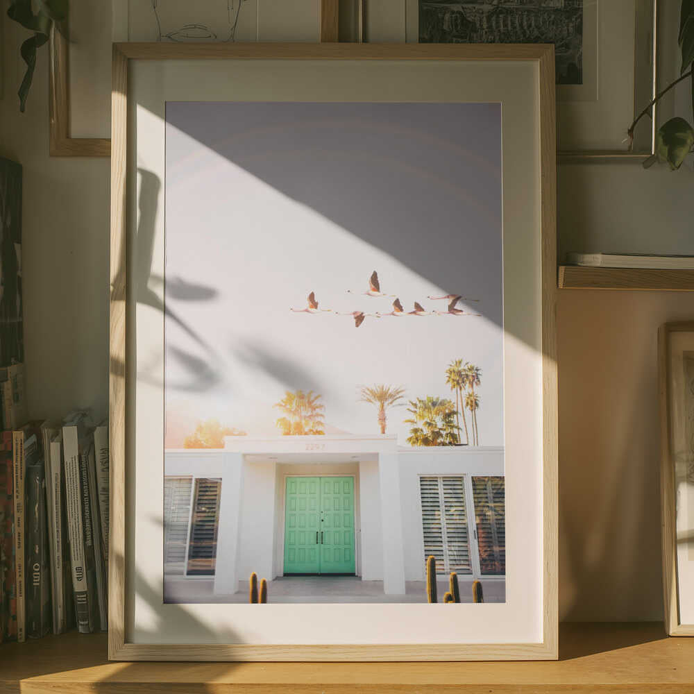 Flamingoer i Palm Springs Plakat