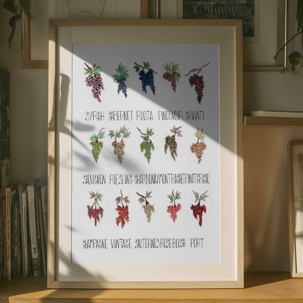 Plakat over Vinstokssorter