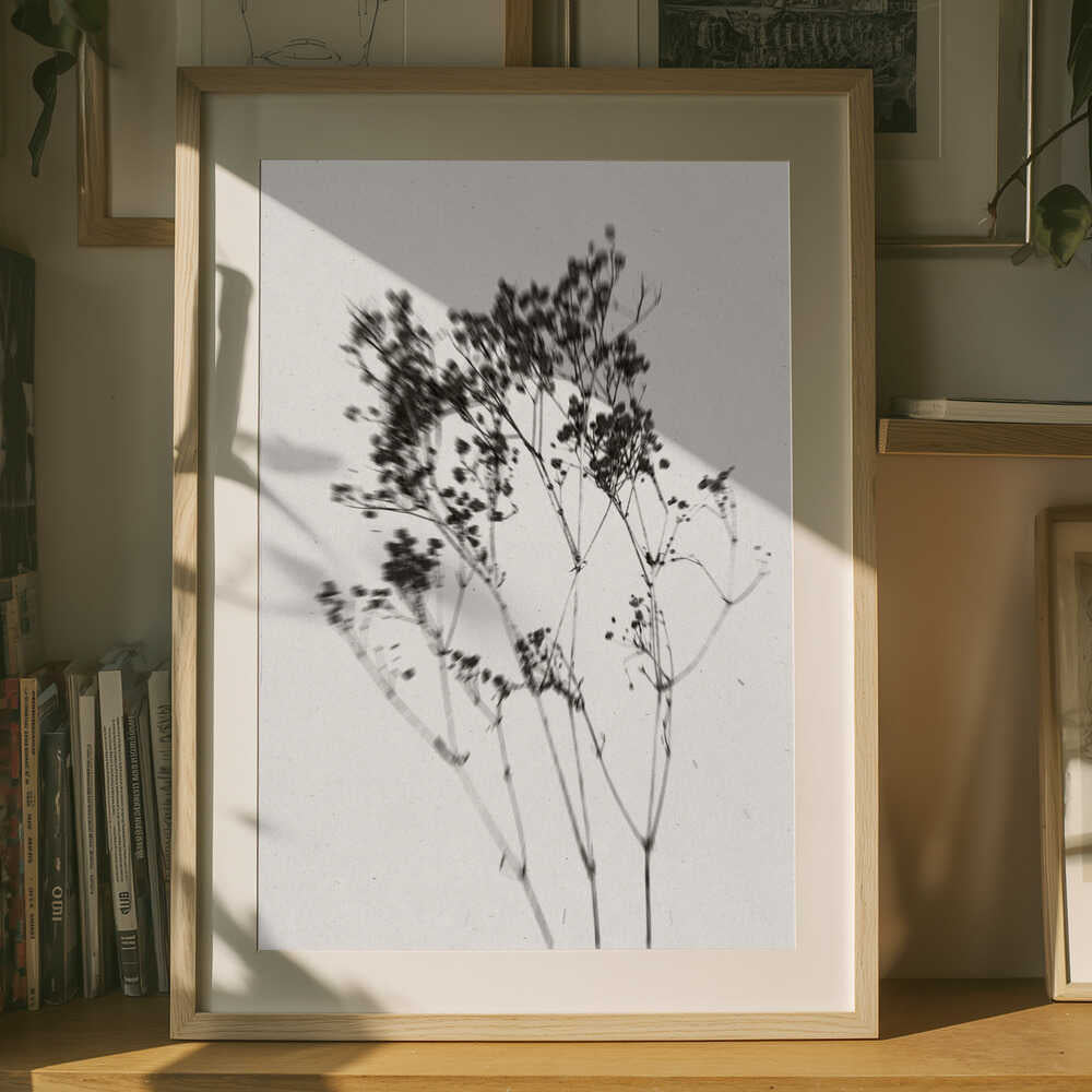 Plakat med Silhuet af Delikat Plante