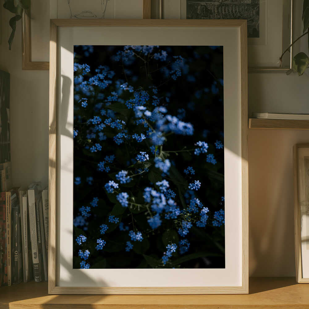 Tranquil Blue Flowers Poster