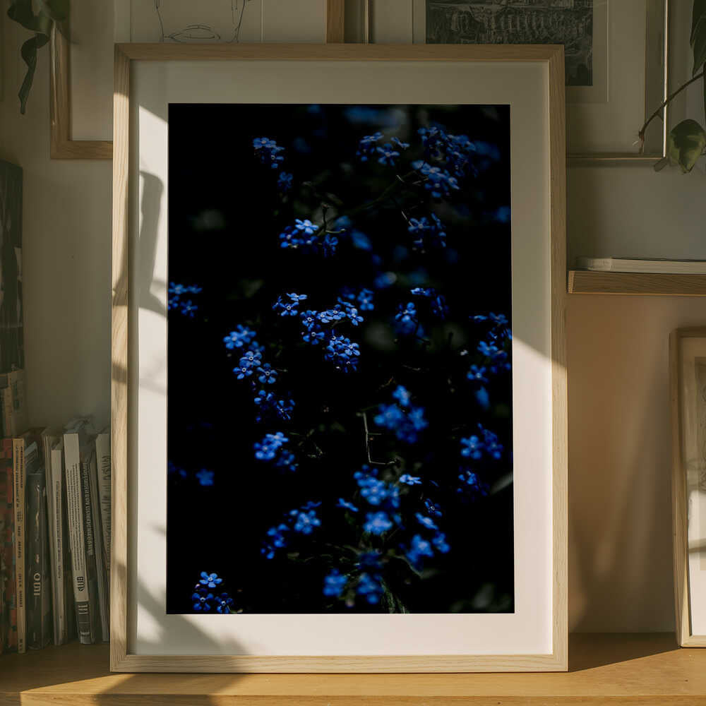 Midnatsblå Blomster Plakat