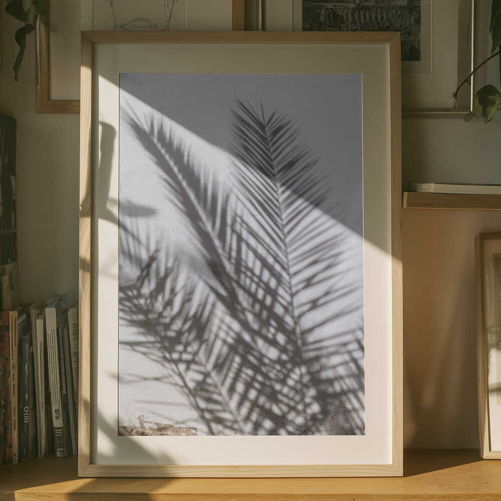 Solbeskinnede Palme Skkygger Plakat