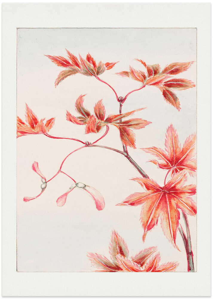 Japandi maple leaves poster with red and orange maple branches on a pale ground
