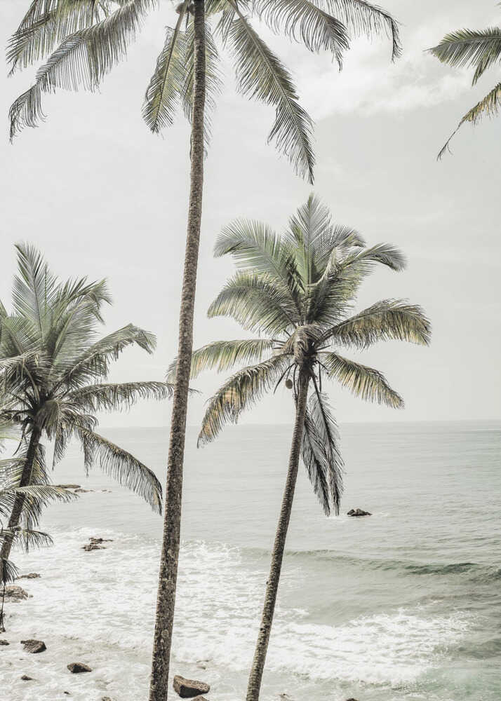 Leaning palms ocean poster with tall leaning palm trees by the ocean and waves