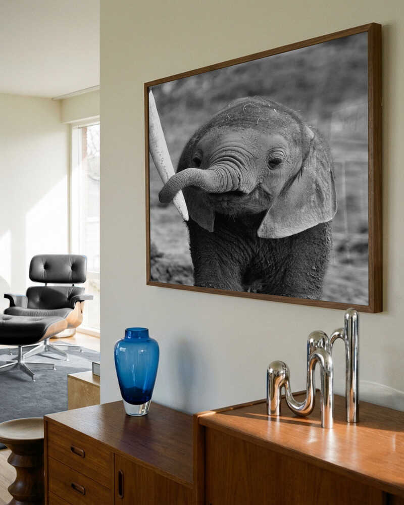 Baby-elefant-plakat