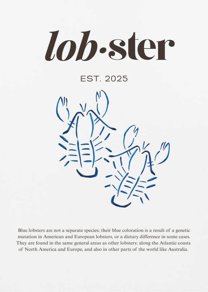 Lobster blue illustration poster with a graphic of blue line drawings of two lobsters titled lobster
