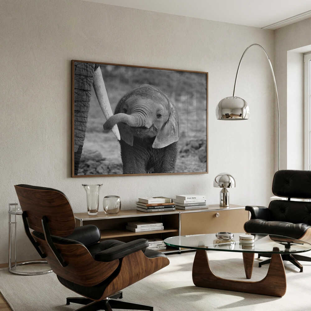 Baby elephant Poster