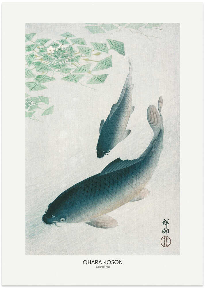Ohara Koson Carp or Koi poster with two blue-gray koi and green leaves