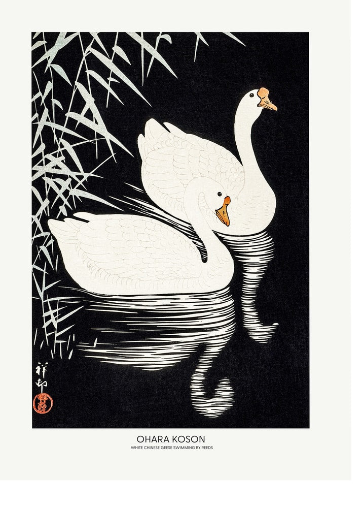 Ohara Koson White Chinese Geese poster with two white geese swimming by reeds