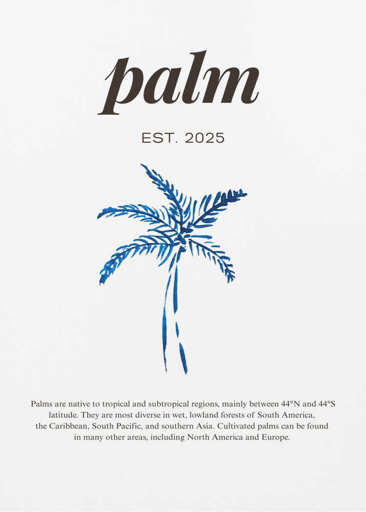 Palm blue illustration poster with a graphic of a blue line drawing of a palm tree titled palm