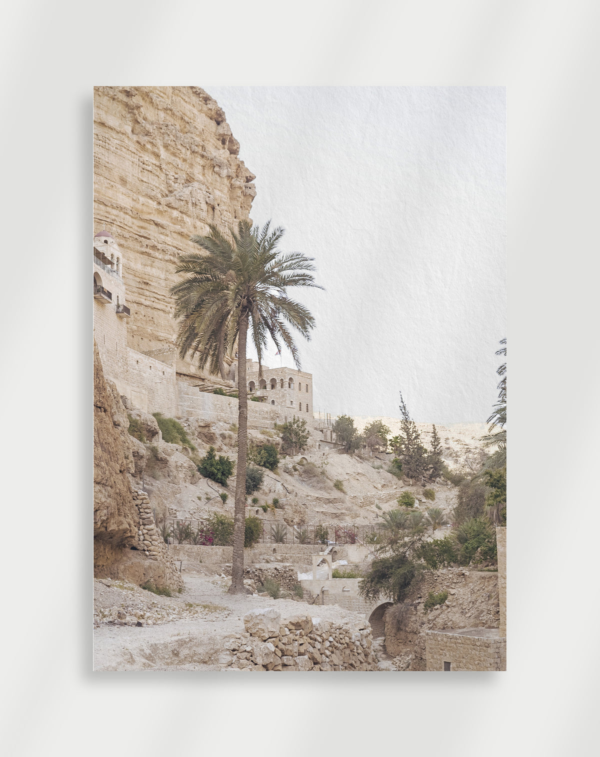 Palm tree cliff poster with a tall palm tree in front of stone buildings built into a rocky cliff