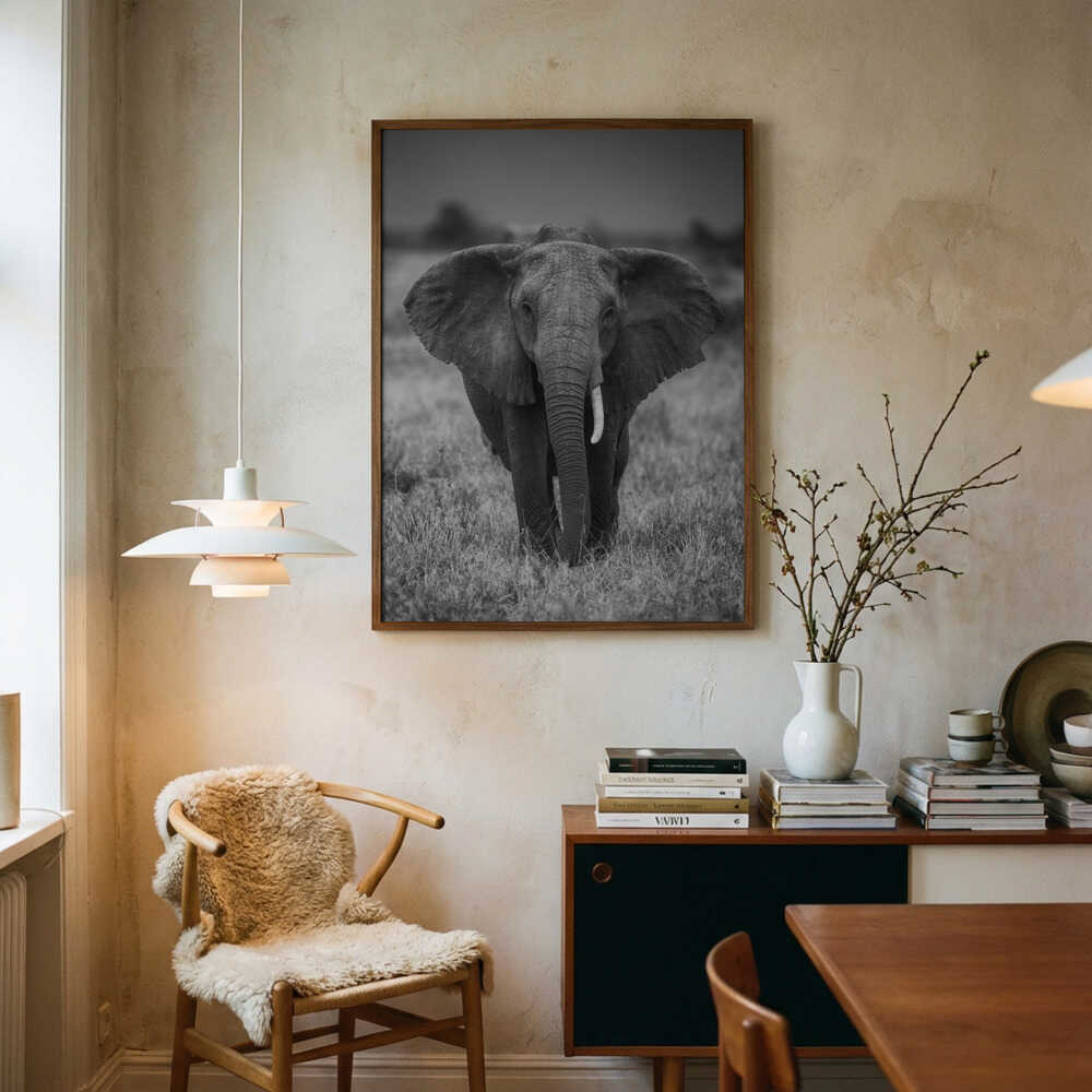 Elephant portrait Poster