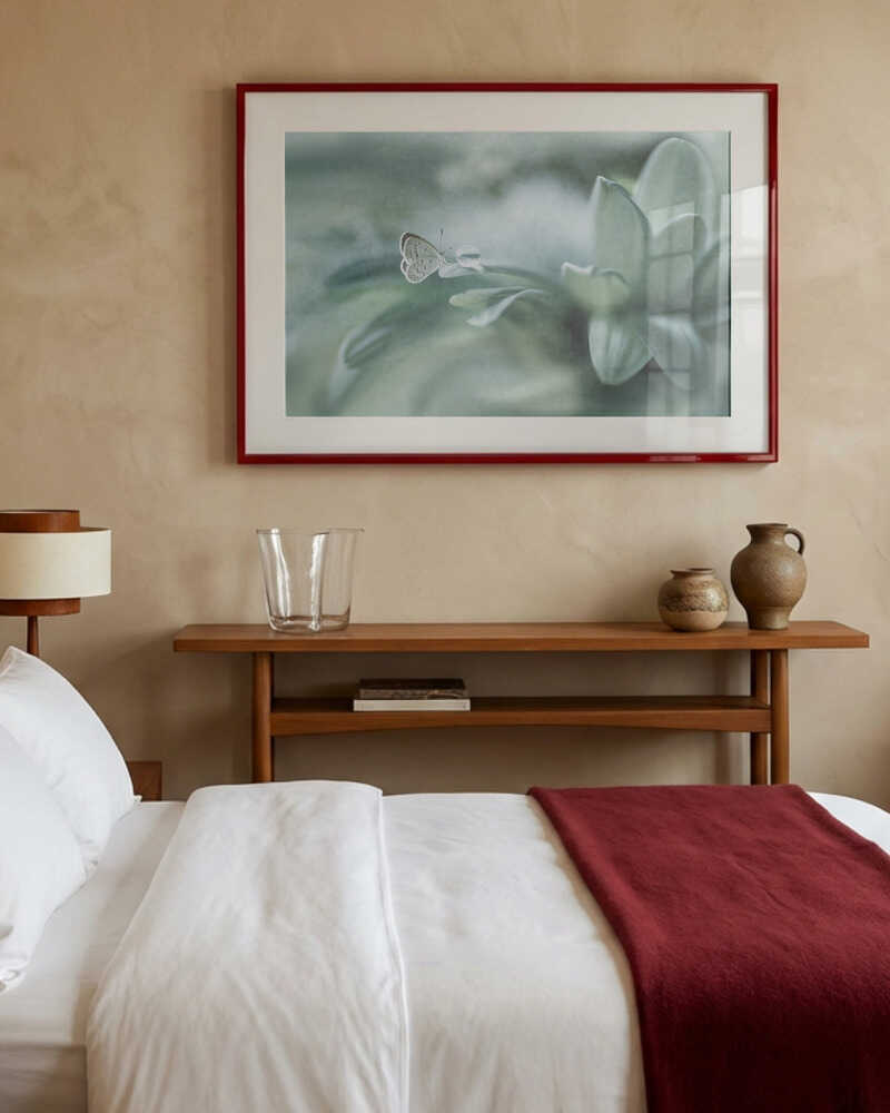 Butterfly flower Poster