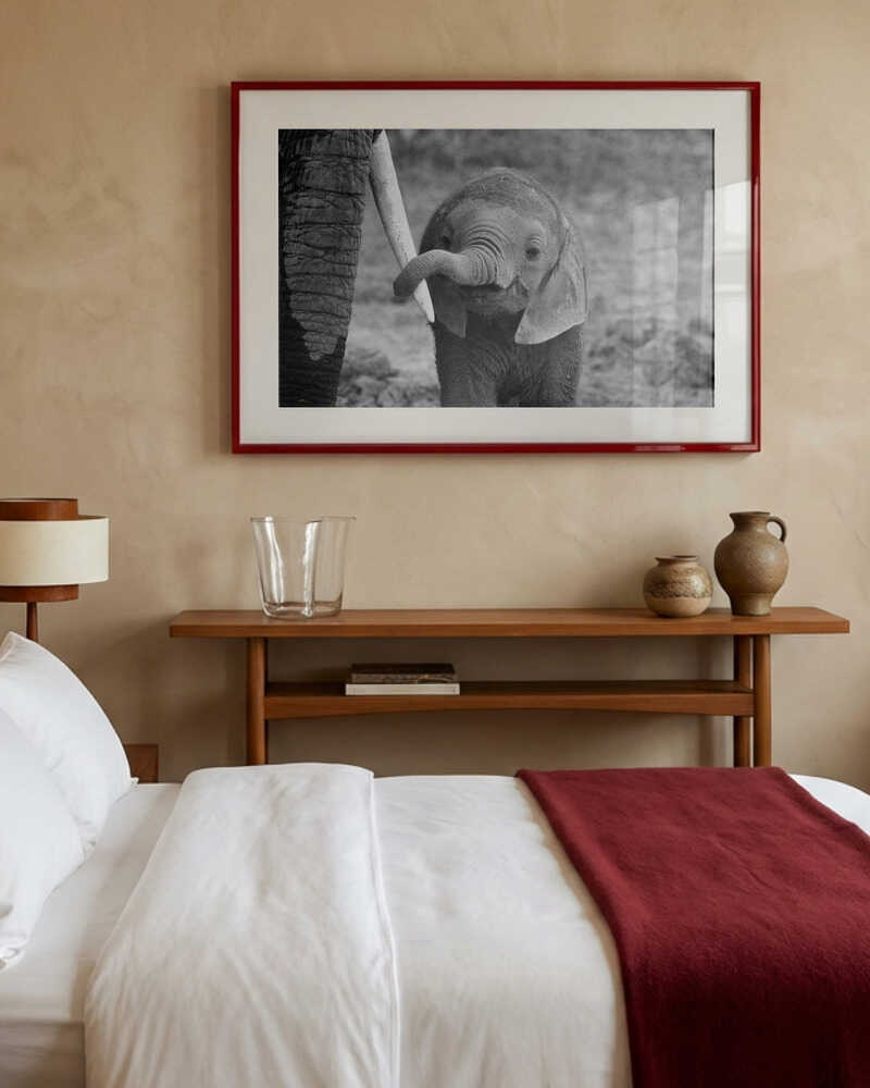Baby-elefant-plakat