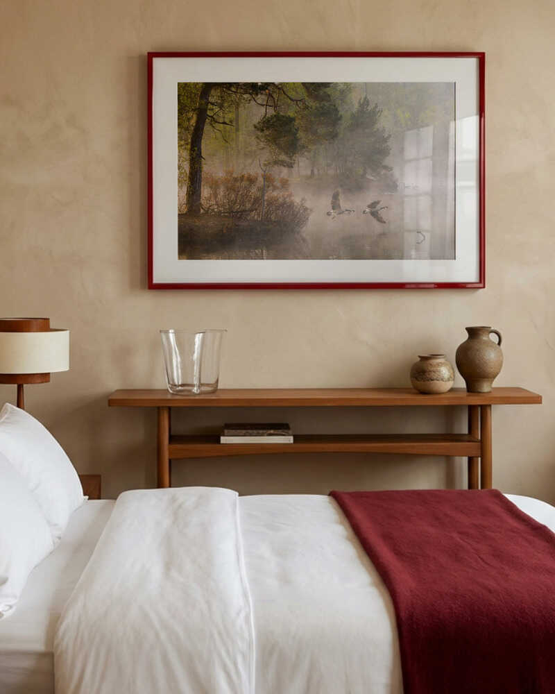 Gåsekamp Plakat