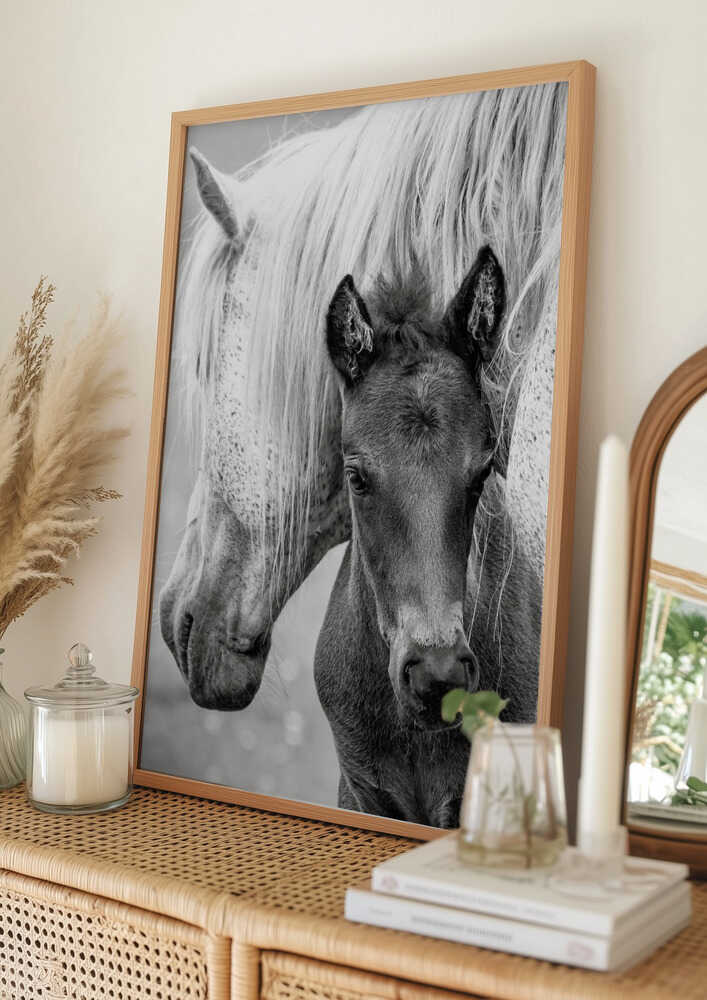 Plakat med hoppe og føl