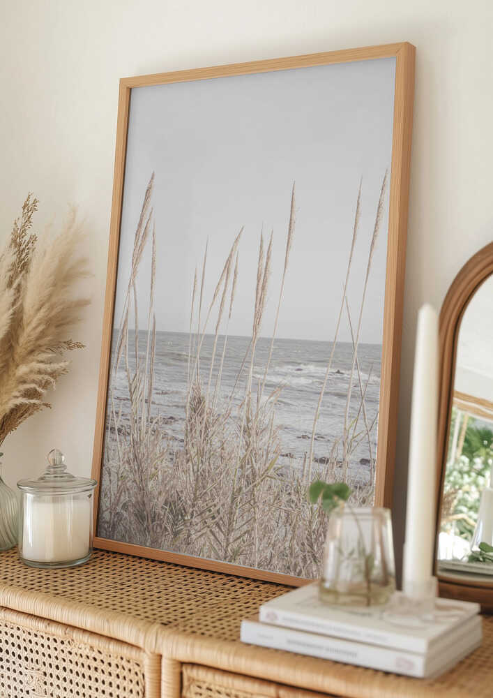 Beach_Vass_001 Plakat