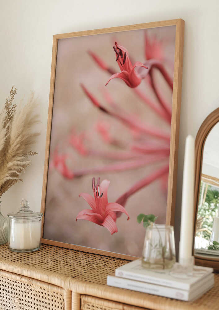 Petals in Focus Poster