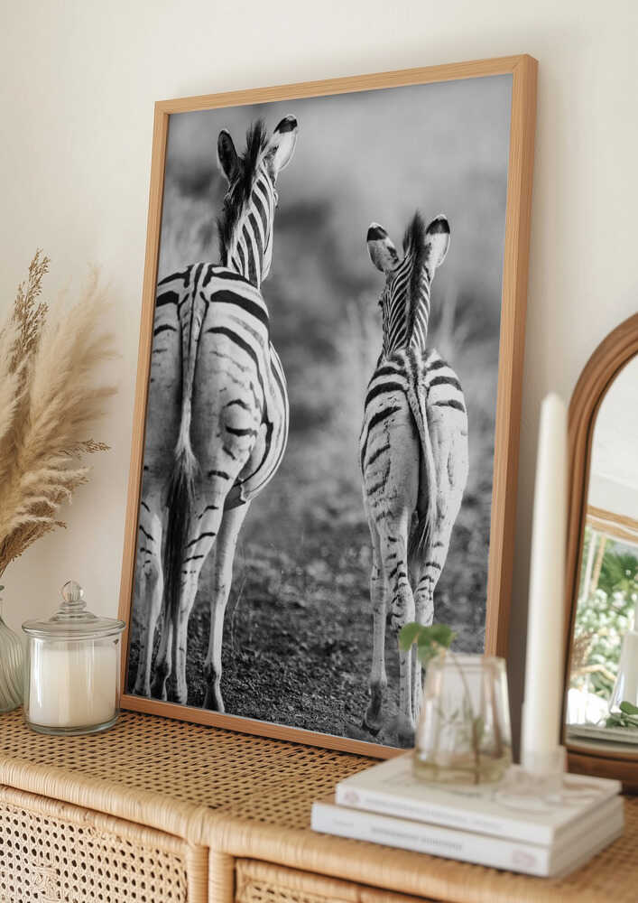 Stribet hest bagside plakat