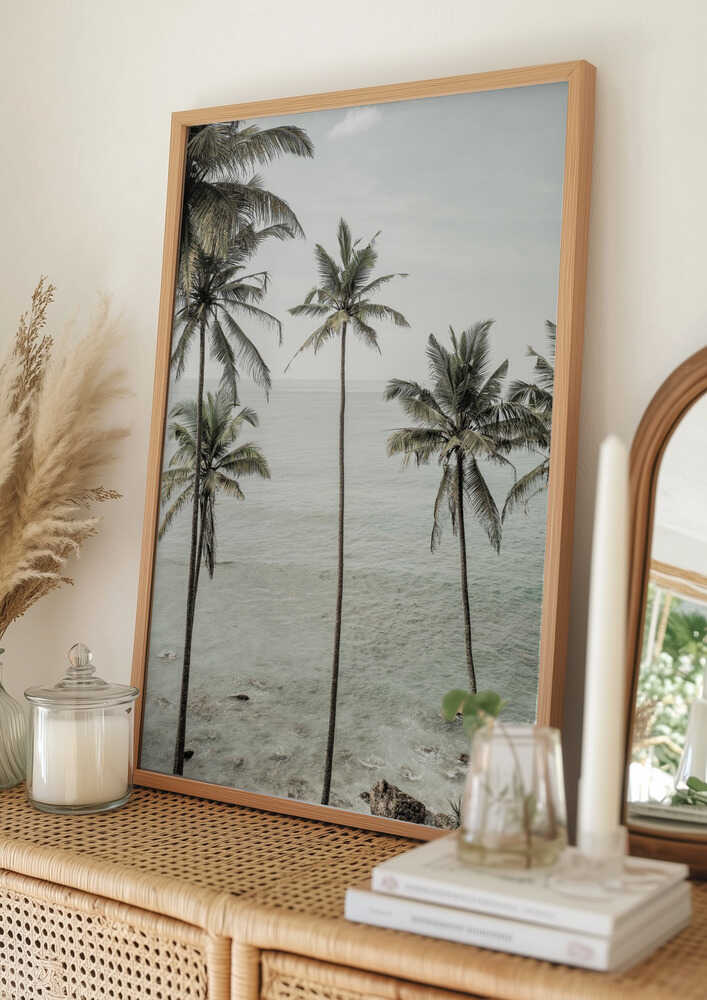 Tropical Dreams-plakat