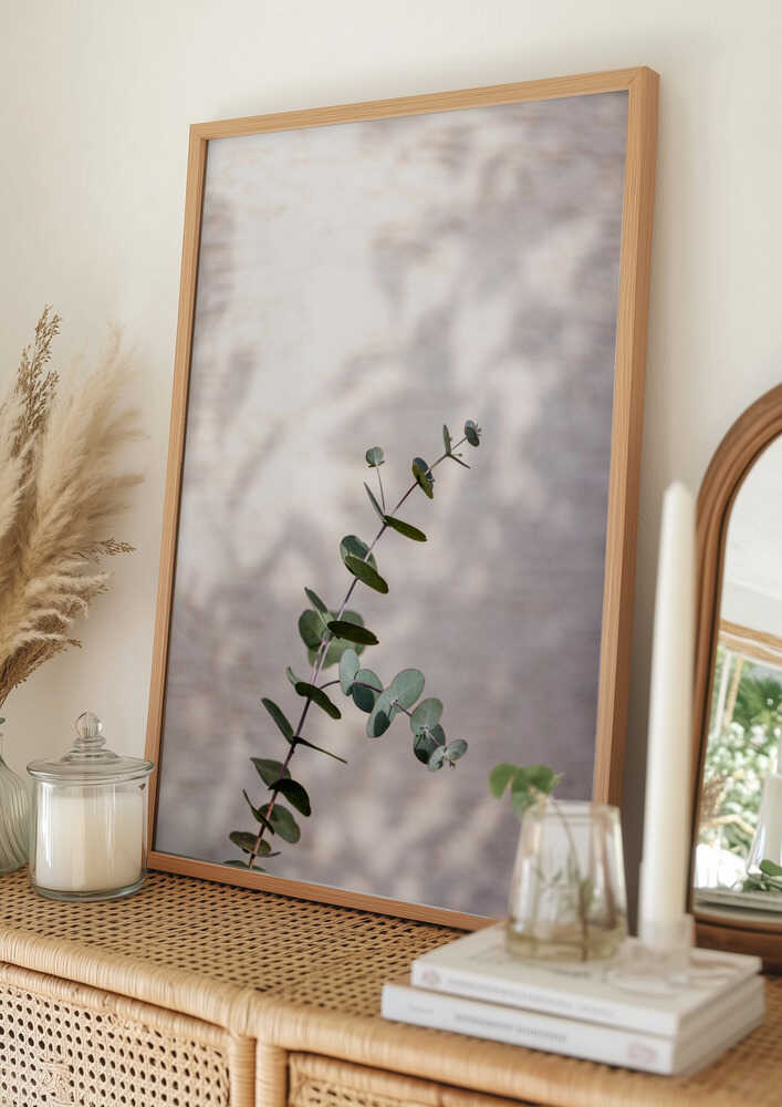 Plakat med Eukalyptus Gren Skygge