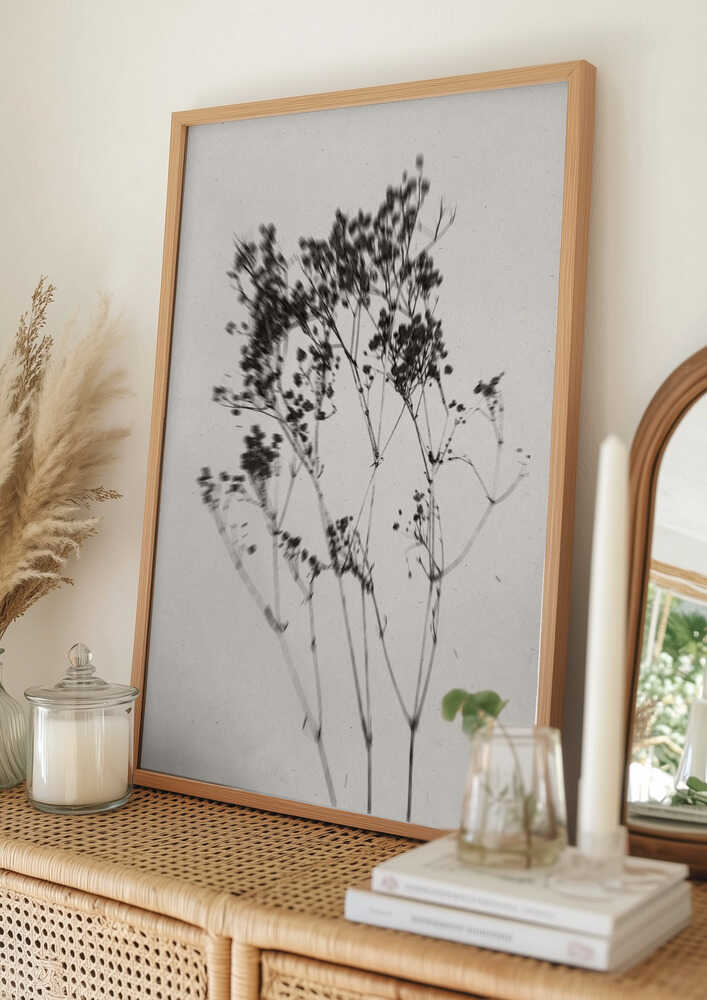 Plakat med Silhuet af Delikat Plante