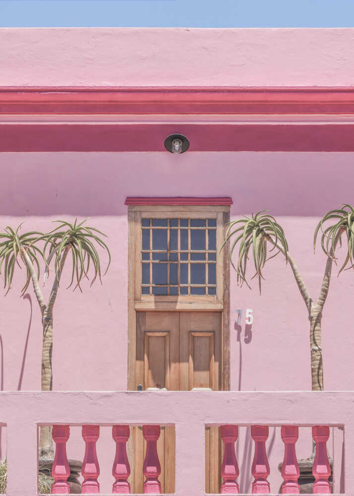 Pink house door poster with a pink house wooden door and small palm plants