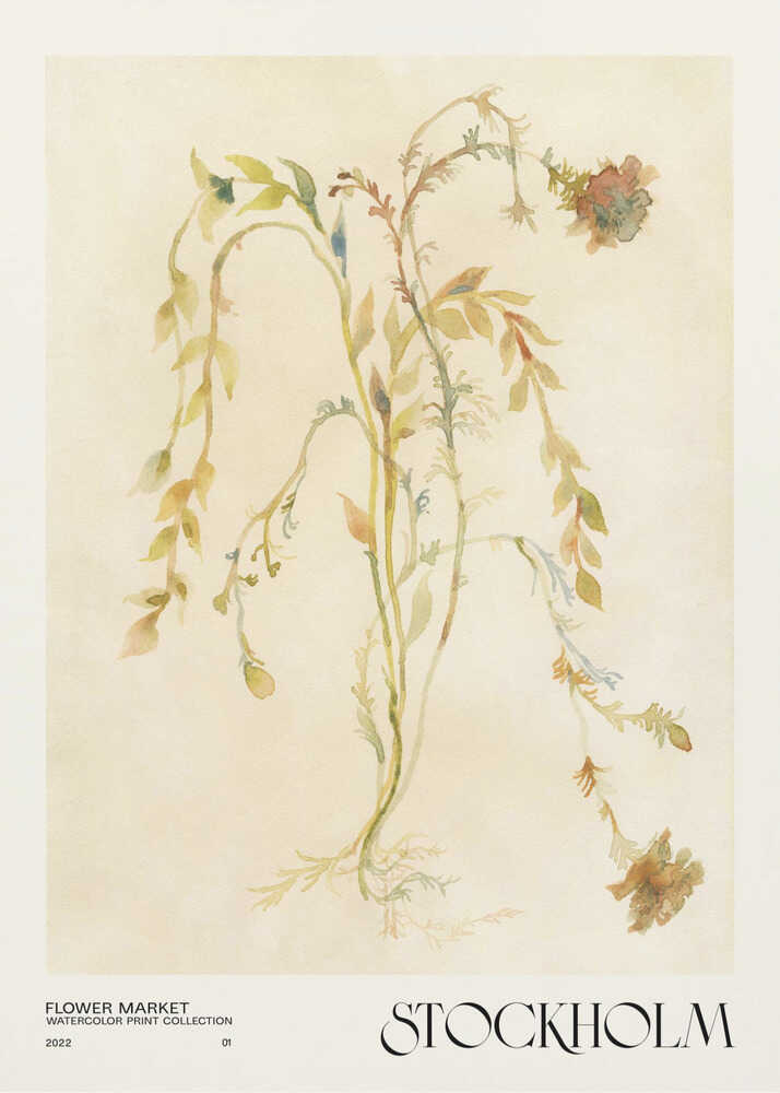 Akvareltryk-kollektion. Blomstermarked - Stockholm Plakat