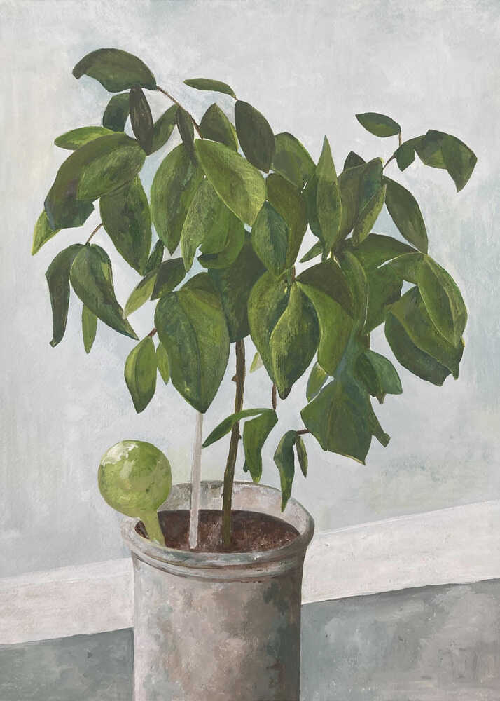 Stilleben: Plakat med potteplante