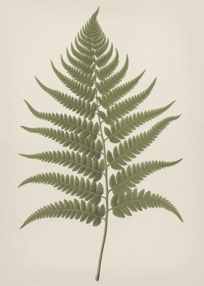 Elegant Fern Botanical Poster