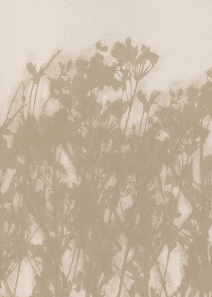 Soft wildflower silhouette poster with a soft muted silhouette of wildflowers in beige tones