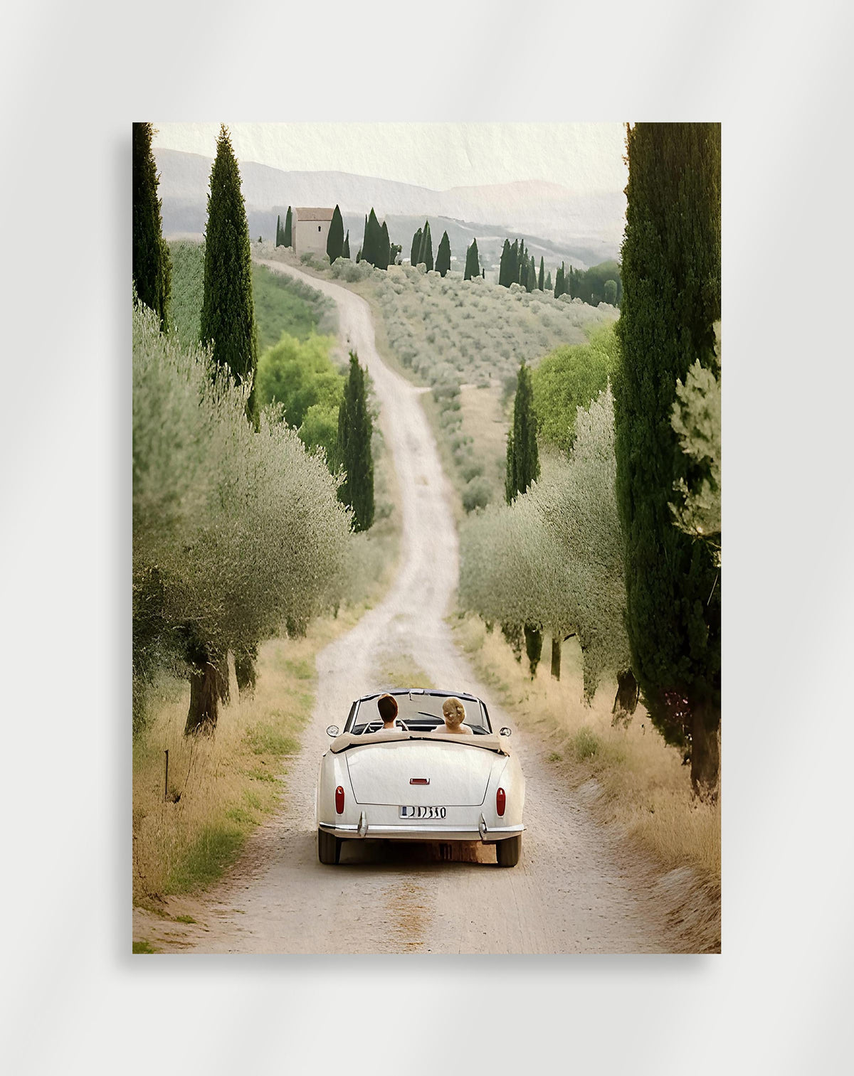 Vintage convertible cypress road poster with a white convertible driving on a dirt road lined with cypress trees