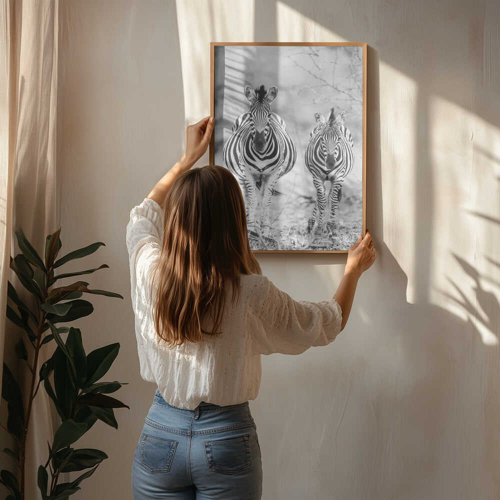 Stribet hest forfra plakat
