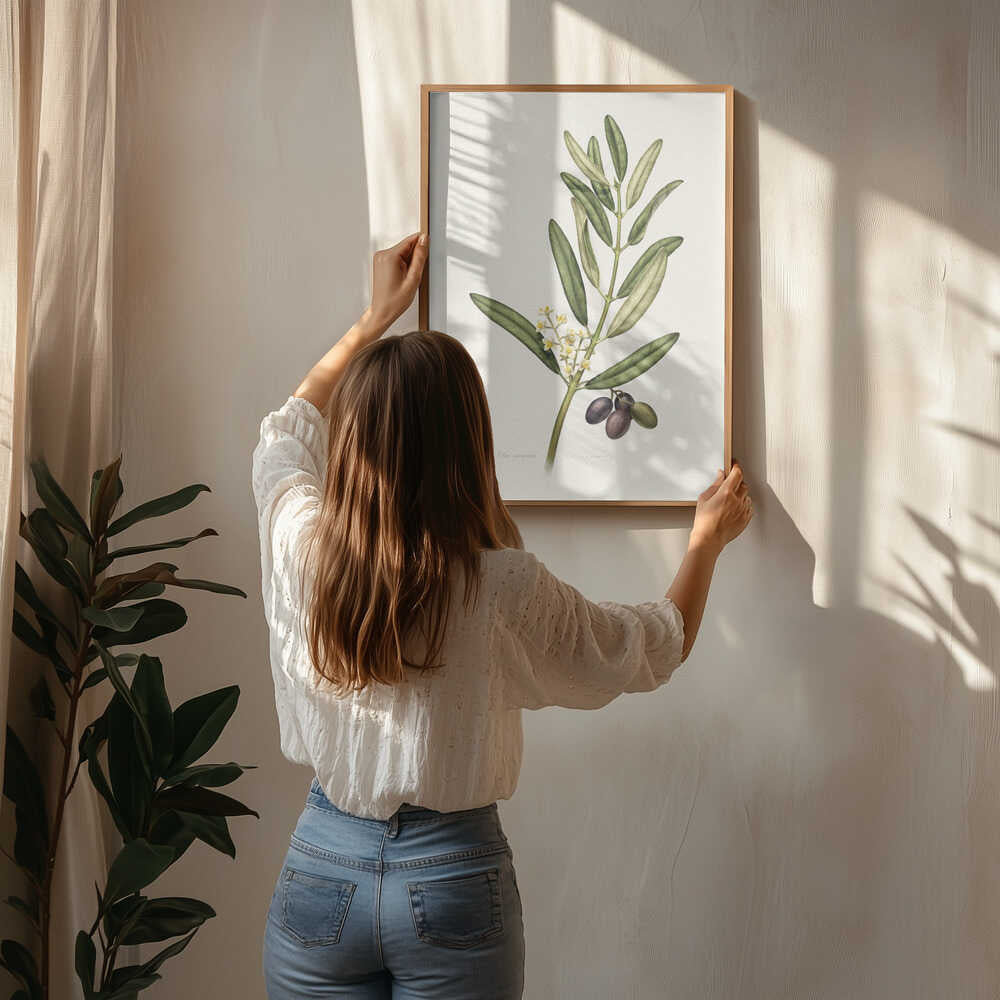 Olivengren Med Frugt Plakat